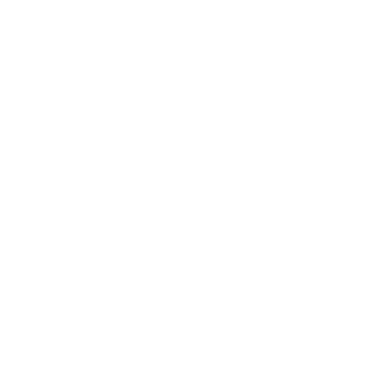 ford-2